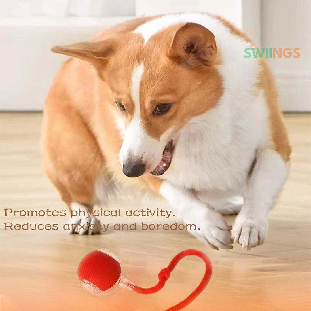 Interactive Automatic Rolling Pet Toy