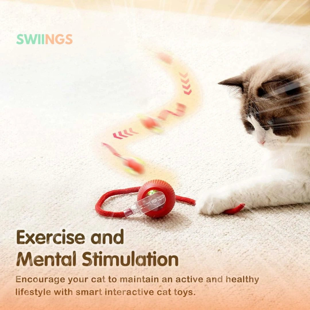 Interactive Automatic Rolling Pet Toy