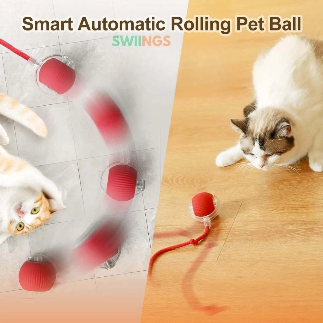 Interactive Automatic Rolling Pet Toy