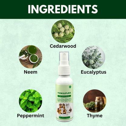Anti tick Spray for Pets