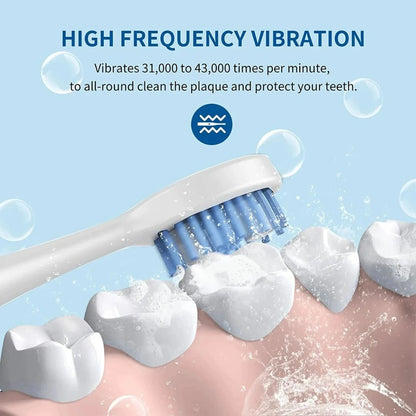 Electric Toothbrush