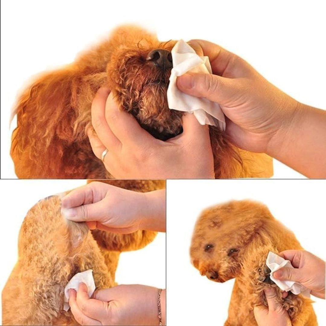 Pet Wipes For Cleaning(100 Pcs Pack)