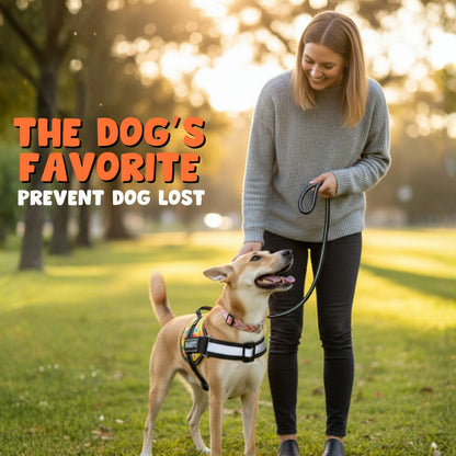 Pawsonalized Harness ( Free Leashes )