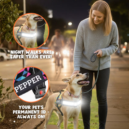 Pawsonalized Harness ( Free Leashes )