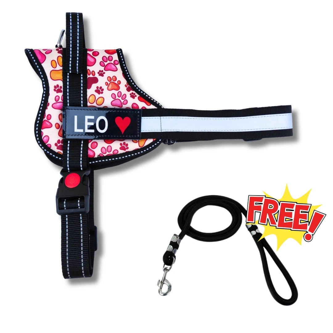 Pawsonalized Harness ( Free Leashes )