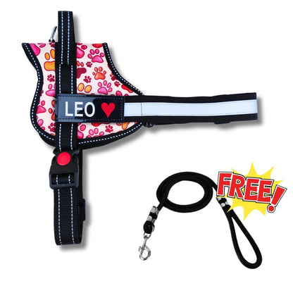 Pawsonalized Harness ( Free Leashes )