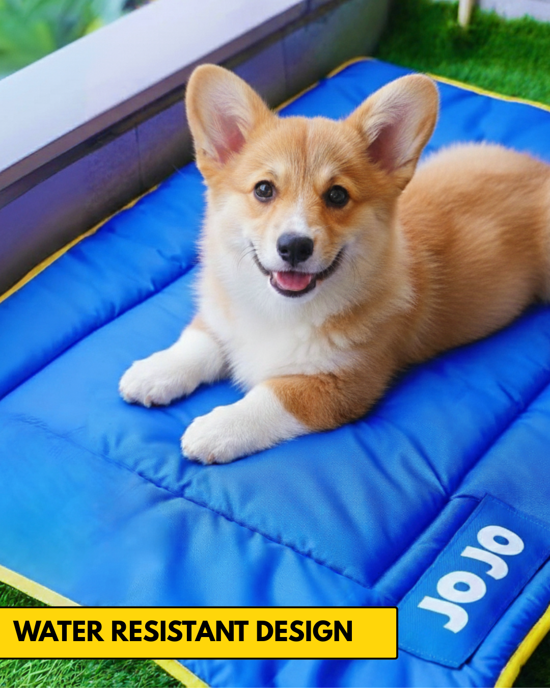 Personalized Dog Bed