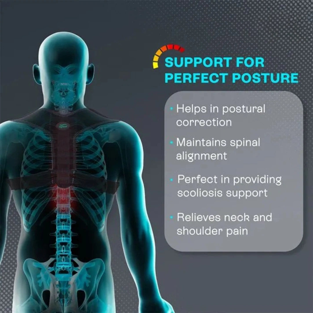 Posture Corrector Belt For Men & Women