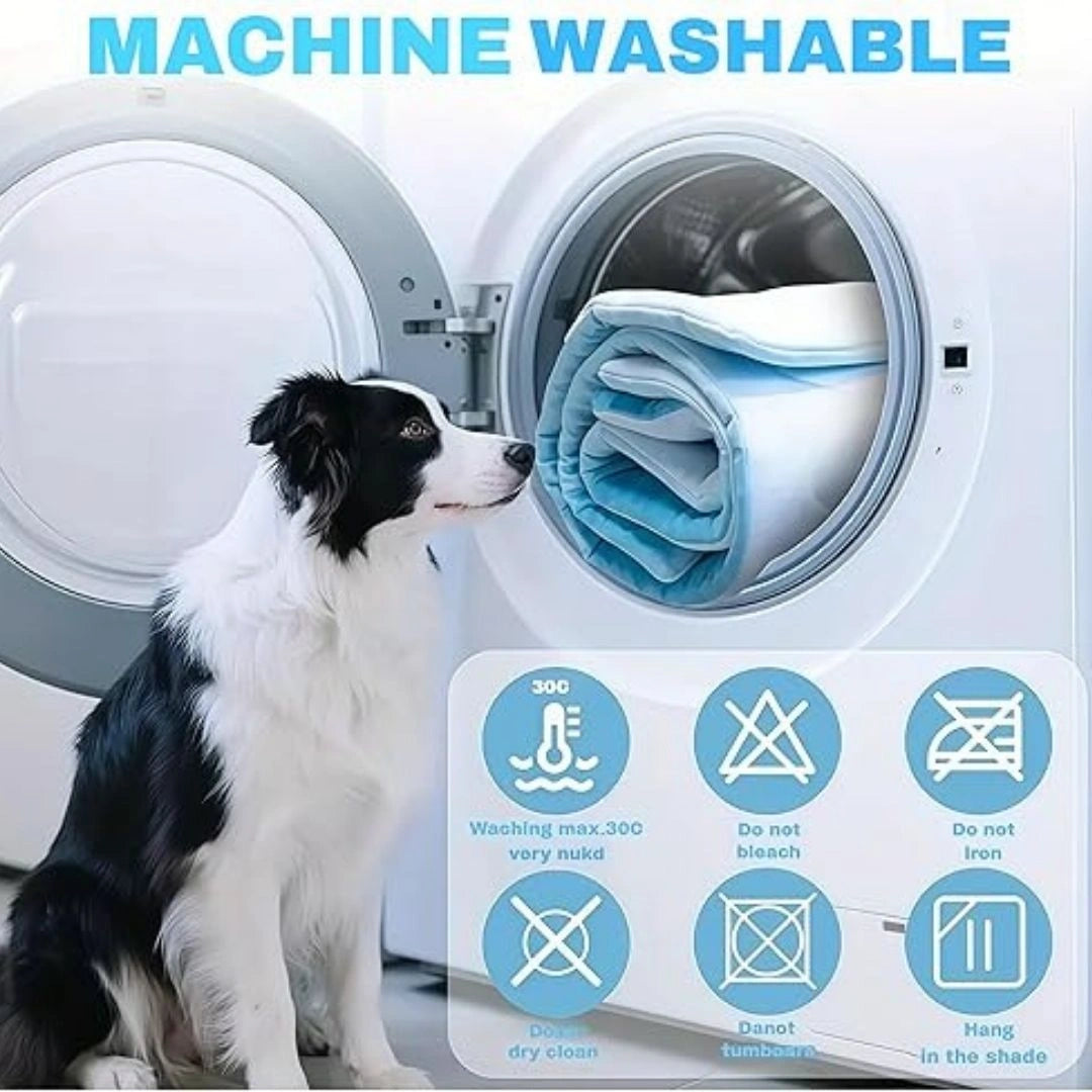 Personalized Dog Bed