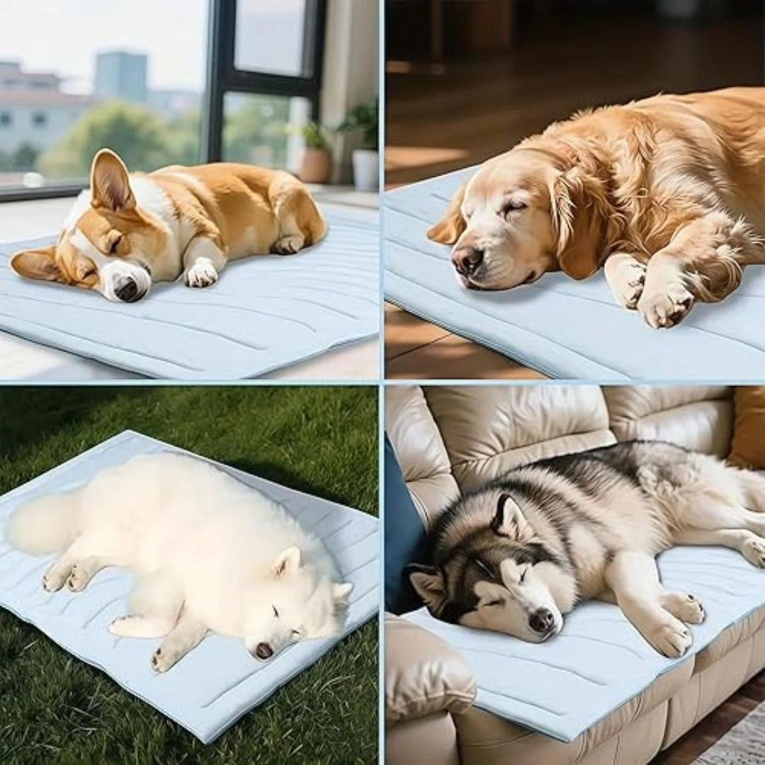 Personalized Dog Bed