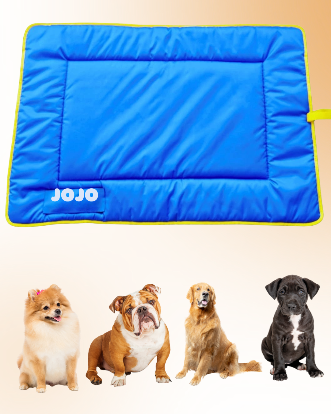 Personalized Dog Bed