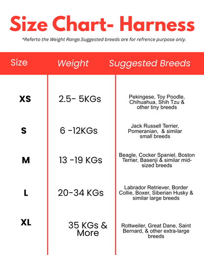 Pawsonalized Harness ( Free Leashes )