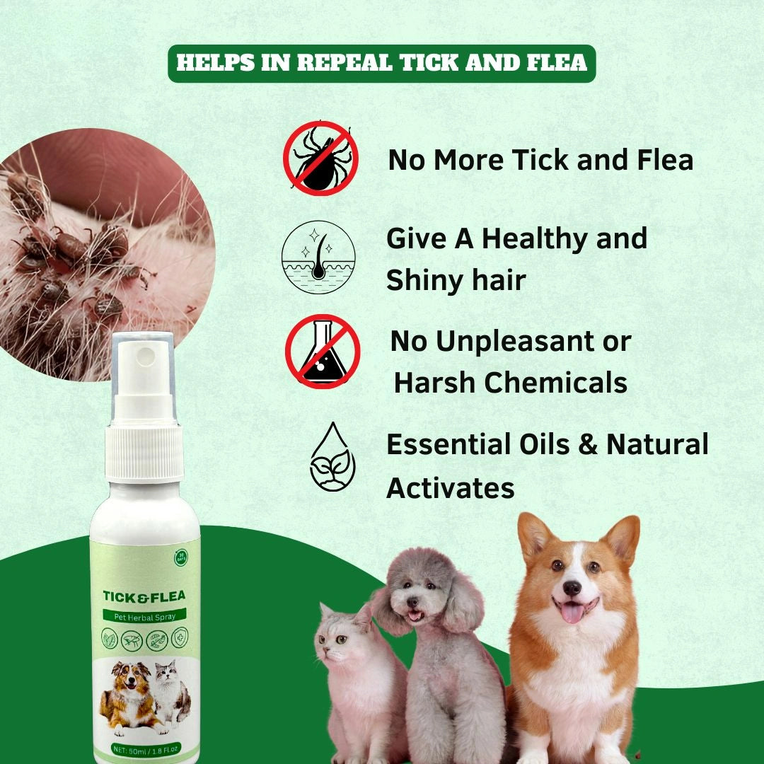 Anti tick Spray for Pets