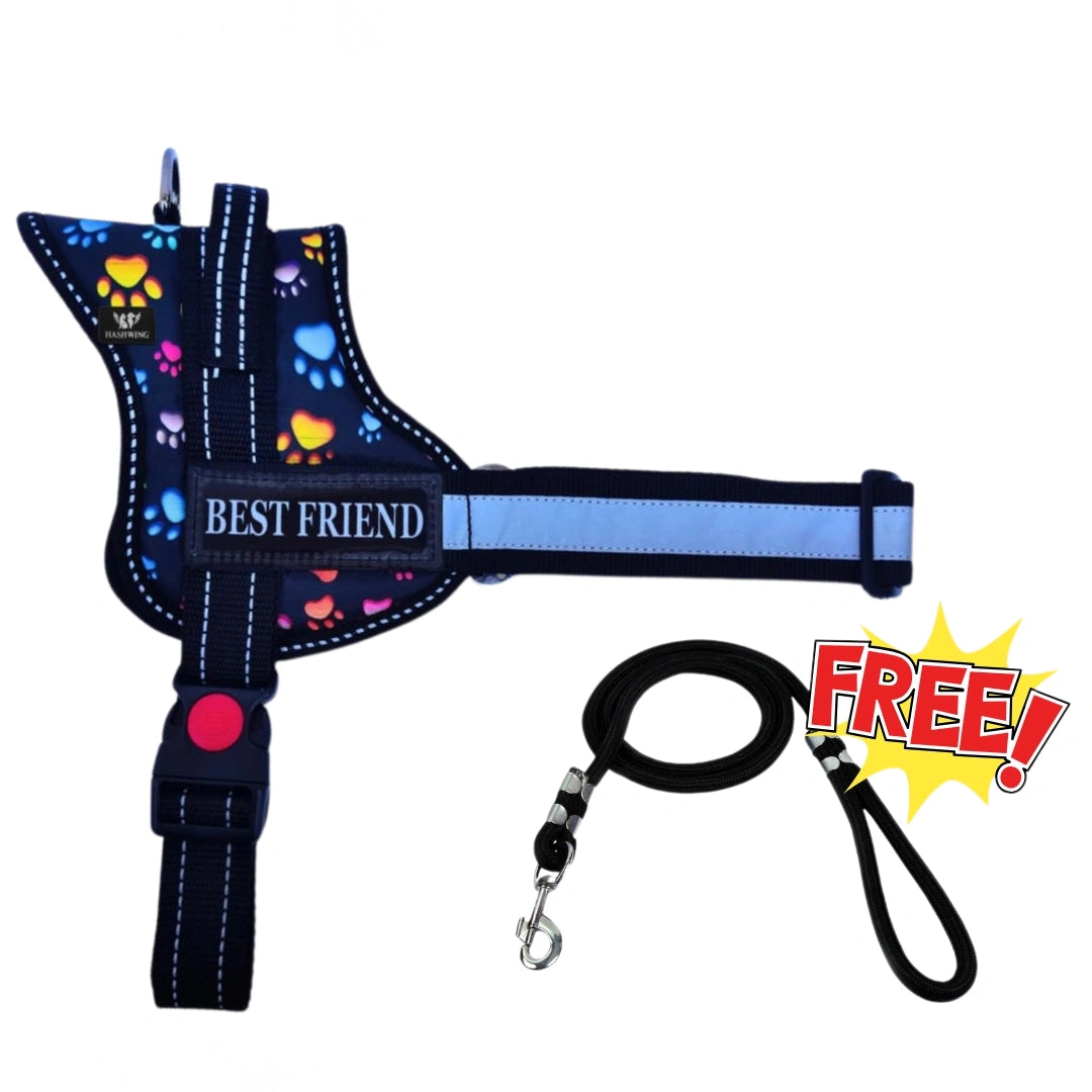 Pawsonalized Harness ( Free Leashes )