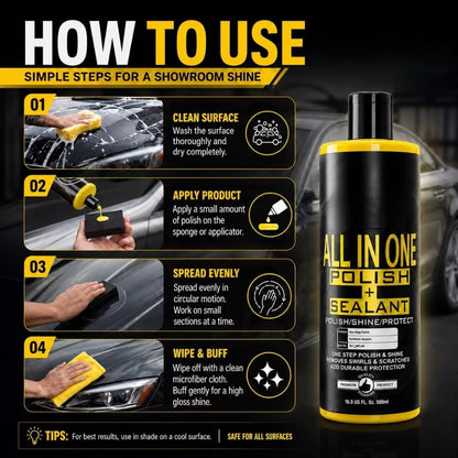 All in One Polish and Sealant