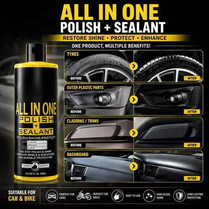 All in One Polish and Sealant