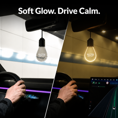 Ambient Soft Light Bulb Car Decor