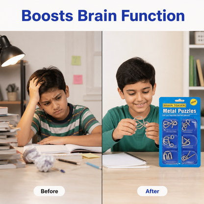 Brain Twist Metal Puzzle IQ Test