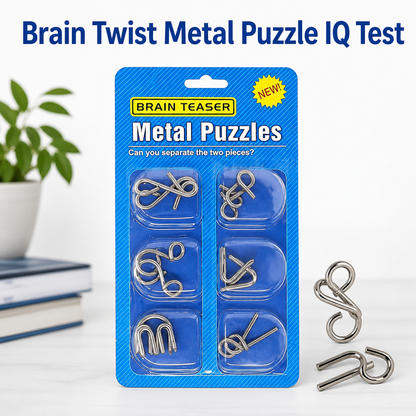 Brain Twist Metal Puzzle IQ Test
