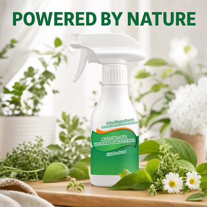 Multi-Functional Kitchen Appliance Cleaner