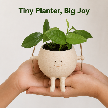 Cheerful Hanging Planter